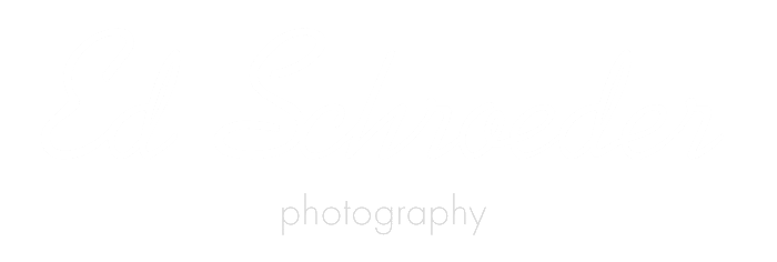 Ed Schroeder