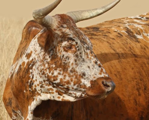 6d15f3bf-30f3-4210-a20c-301eed17994e Feedback on Ed's Work 1